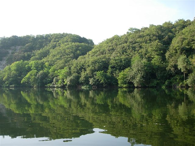 la jungle