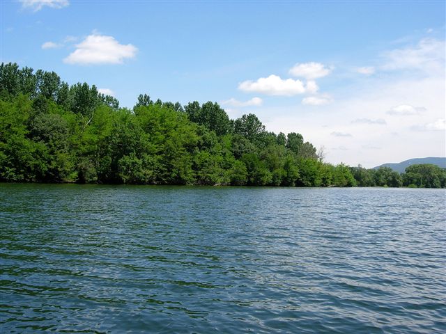 rives sauvages