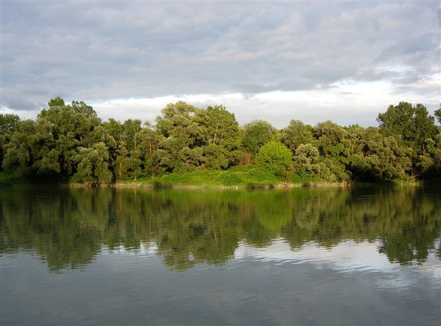 bief sauvage du Rhône