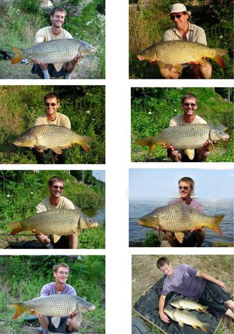 carpes de Saône