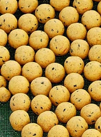 Yellow boilies en 20mm