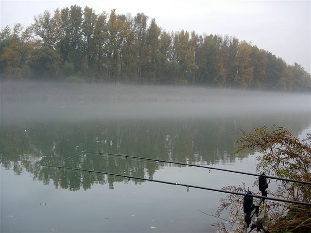 ambiance automnale