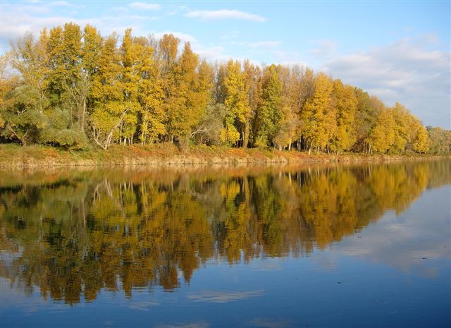 Couleur d'automne en fleuve