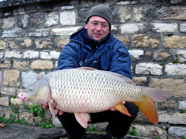 des carpes déjà bien ventrues !