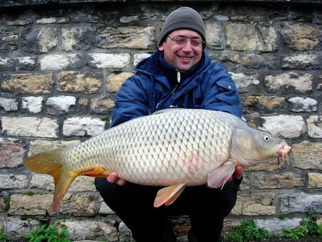 des carpes dans une eau chargée et à 5°c