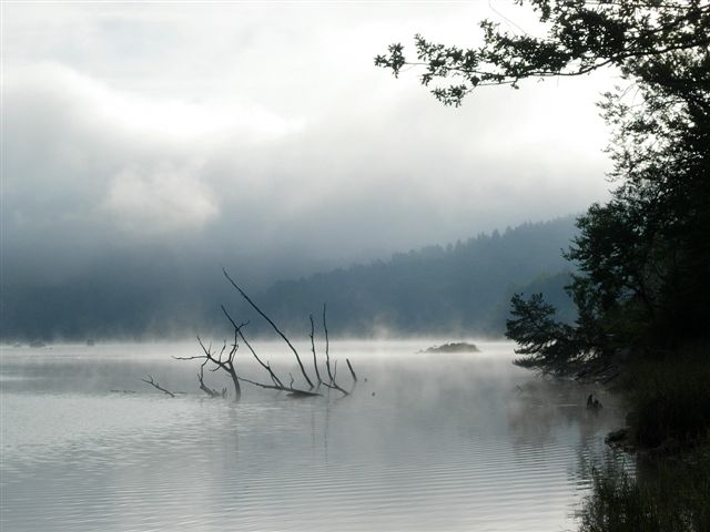 premier poste dans le brouillard matinal