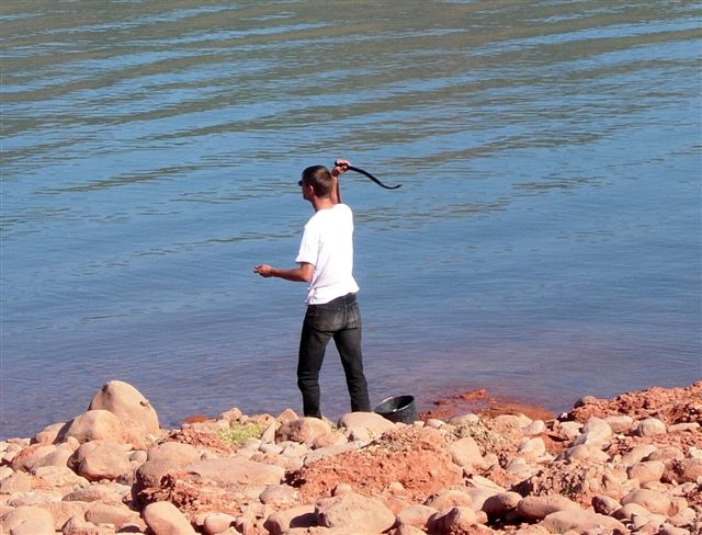 Des bouillettes bien réparties sur de grandes surfaces toucheront plus de carpes...