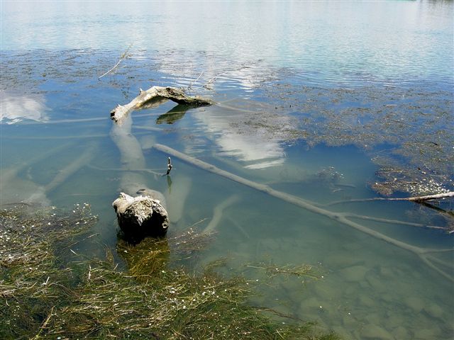 Pêcher la carpe autrement pour progresser dans vos qualités de pêcheur